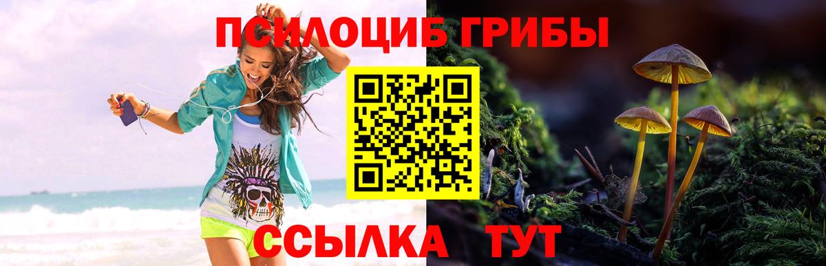 Спасск-Дальний  Псилоцибиновые грибы мицелий  Вход с VPN 